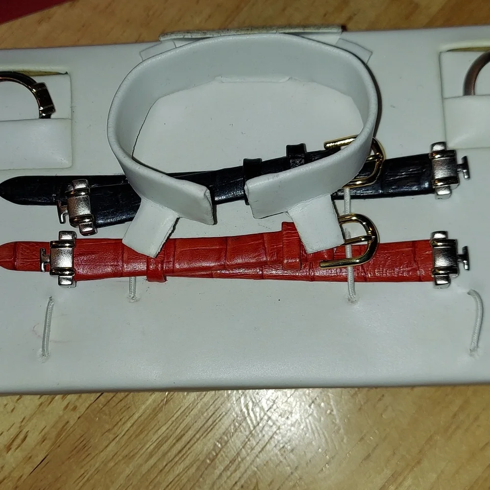 Anne Klein 2002‎ Watch Accessories Box Set Interchangeable pieces